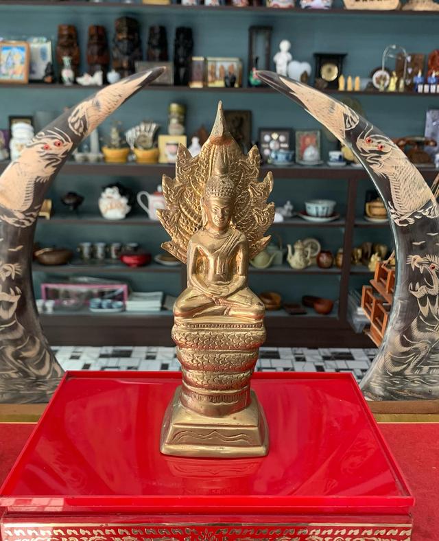 พระนาคปรก เนื้อทองเหลือง 9