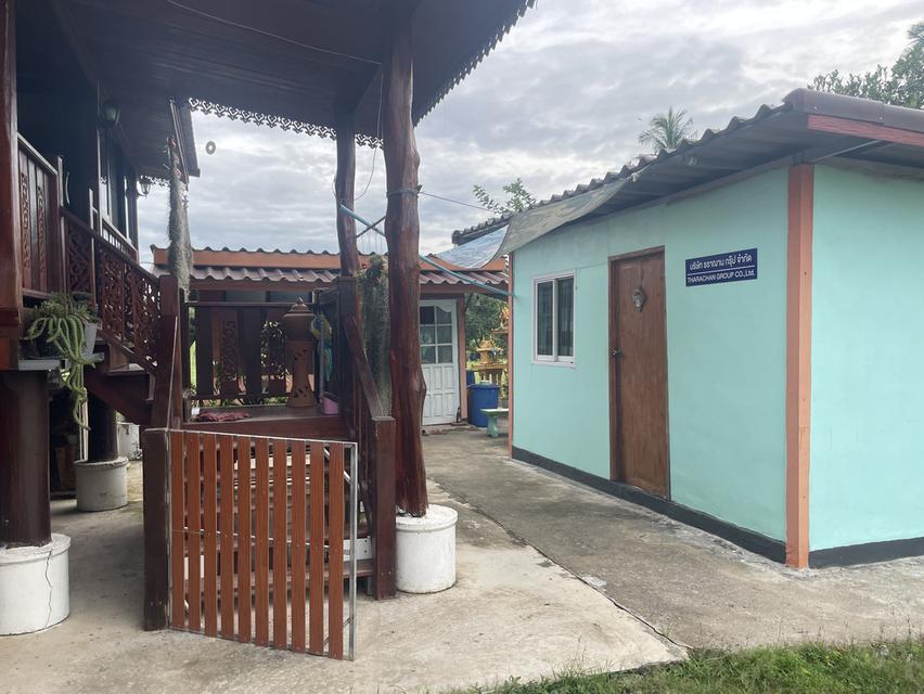 บ้านเดี่ยวพร้อมที่ดิน 3