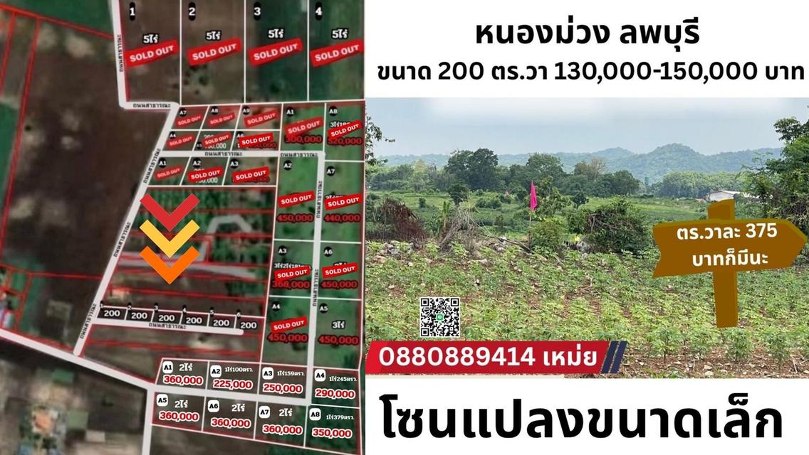 ที่ดินหนองม่วง จ. ลพบุรี