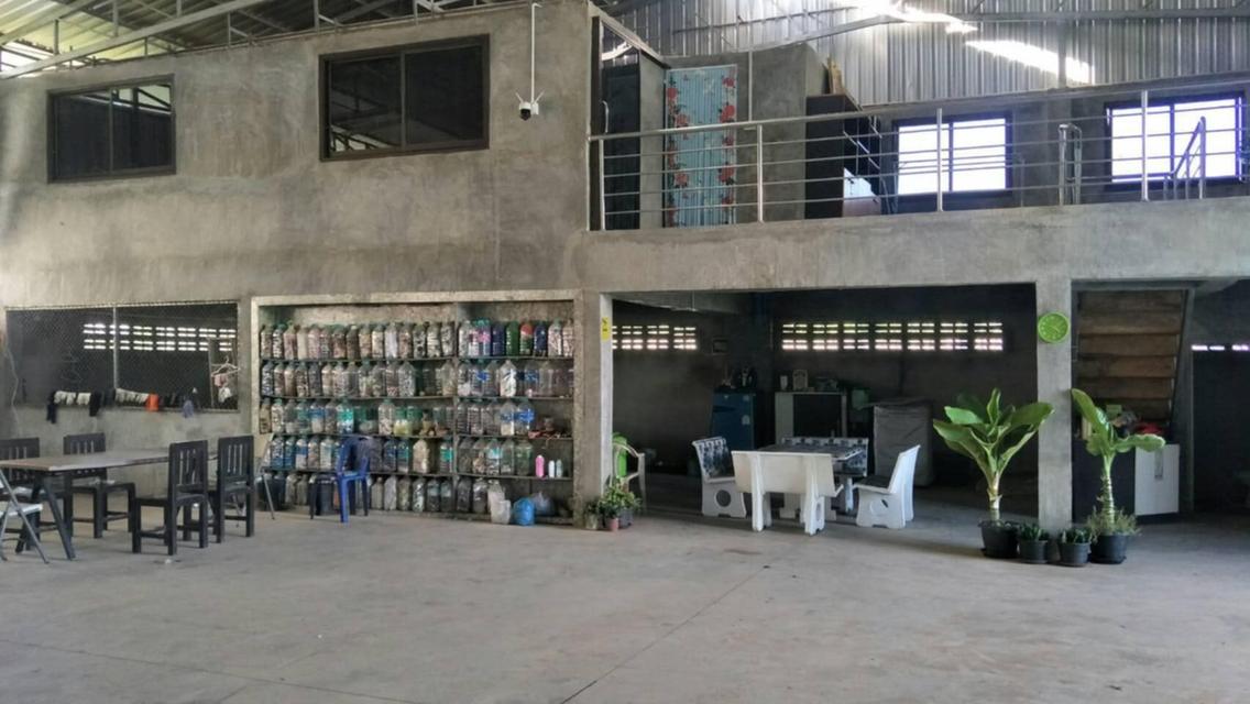ที่ดินพร้อมกิจการ โรงงาน รับซื้อขยะพลาสติก ผลิตเม็ดพลาสติก จ.พะเยา 4