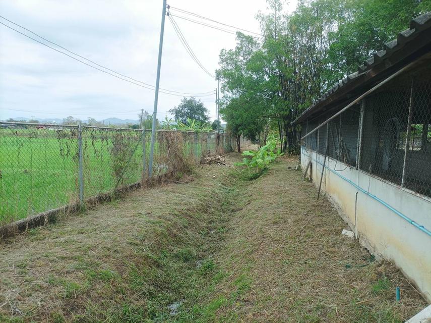 ขายบ้านพร้อมที่ดิน ต.สง่าบ้าน อ.ดอยสะเก็ด จ.เชียงใหม่ 17