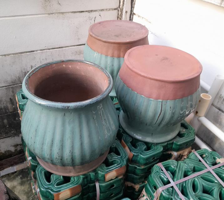 โถพลูเขียวไข่กา ลายมะเฟือง ใบใหญ่ โถใบชะพลูโบราณ 5