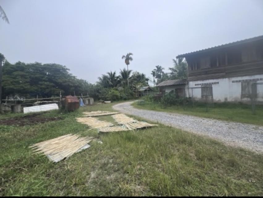 บ้านเดี่ยวพร้อมที่ดิน 11