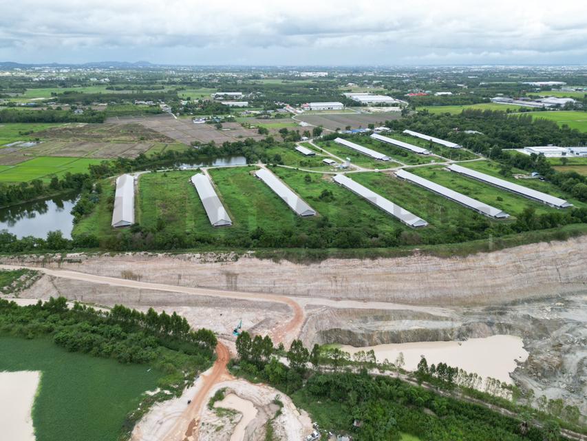 ขาย ที่ดิน บ้านบึง หนอง บอน แดง ชลบุรี(พร้อมสิ่งปลูกสร้าง) รูปที่ 20
