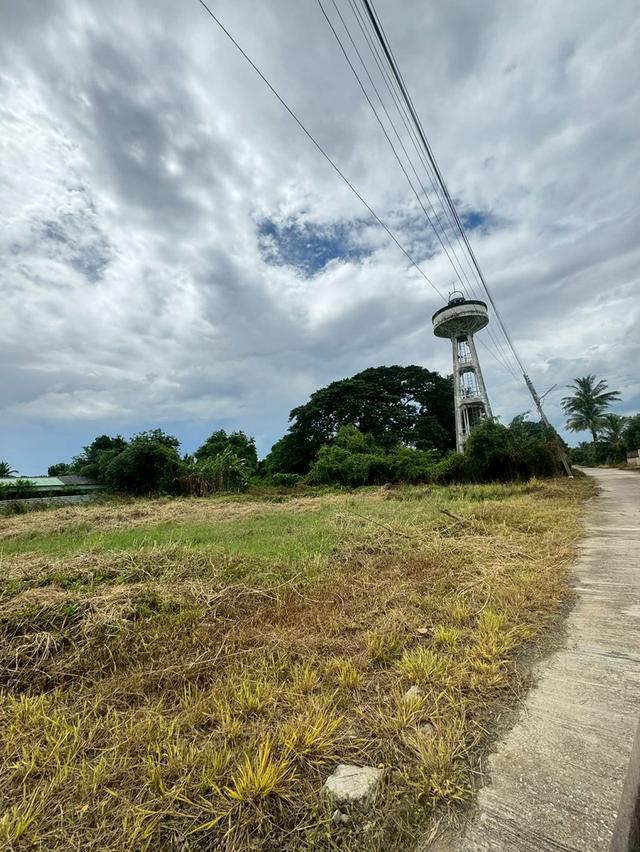 ที่ดินตำบลหนองช้างคืน จ.ลำพูน 3