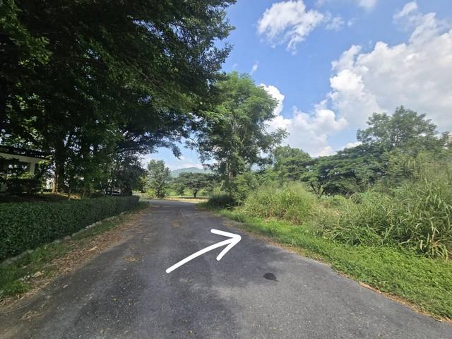 ที่ดิน ภูภัทรา เขาใหญ่ สะดวกต่อการเดินทาง แปลงมุม, ทำเลดี, ติดถนน 2 ด้าน 4