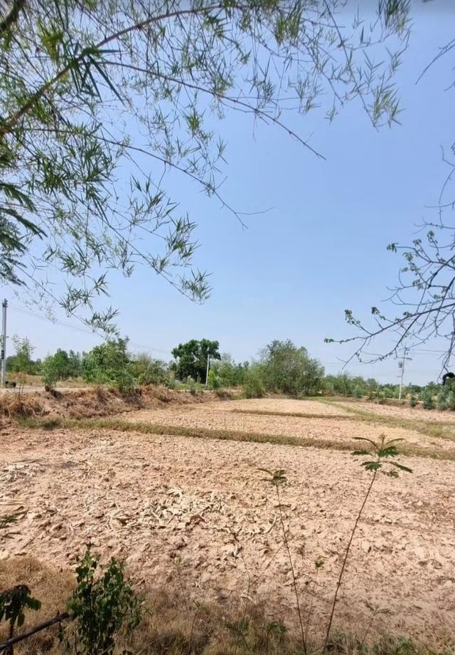 ขายที่ดินบ้านแดงใหญ่ ขอนแก่น 4