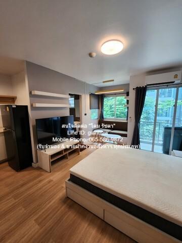 condominium มายคอนโด สุขุมวิท 81 ขนาดพื้นที่ 25 ตร.ม. 11000 BAHT ราคาดีเยี่ยม กรุงเทพ 5