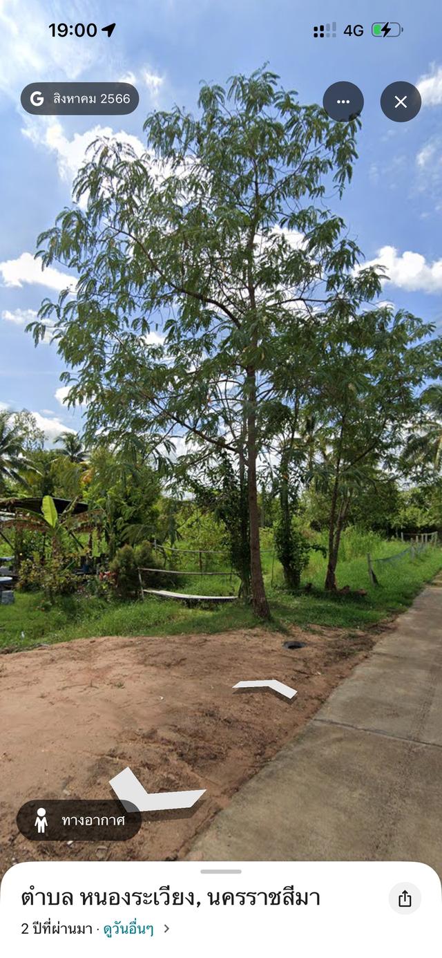 ที่ดินเปล่า นครราชสีมา 1