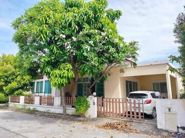 ให้เช่าบ้านเดี่ยว พานาปาร์ค3 หนองกะขะ พานทอง ชลบุรี บ้านเดี่ยวเนื้อที่ 60 ตารางวา 3ห้องนอน 2ห้องน้ำ มีที่จอดรถ แอร์ 2 ตั 3