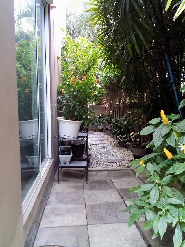 ขายด่วน! บ้านแฝดสไตล์บ้านเดี่ยว ผนังอิสระ โครงการโกลเด้น นีโอ ชัยพฤกษ์ ติดถนนใหญ่ 4