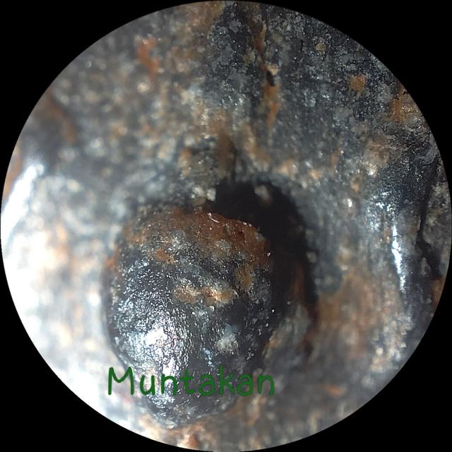 พระสมเด็จปิลันทน์พิมพ์เปลวเพลิงใหญ่ รูปที่ 4