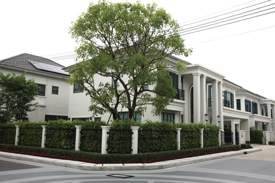 ขายและเช่าบ้านเดี่ยว 2ชั้น โครงการเศรษฐสิริ บางนา กม.10 2