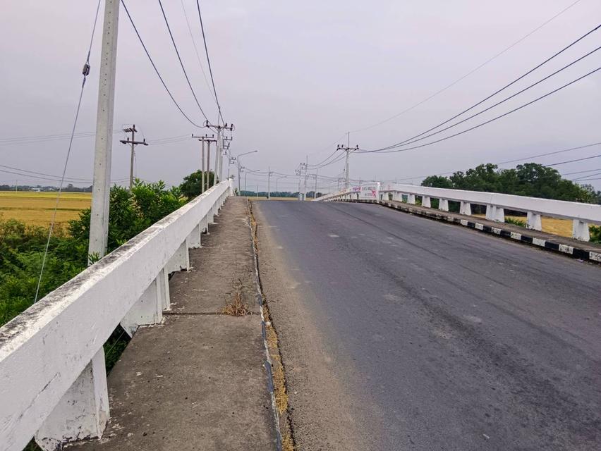ขายที่ดินเปล่าในอำเภอบางน้ำเปี้ยว จังหวัดฉะเชิงเทรา