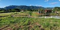 ขายที่ดินเขาใหญ่ ที่บนเนินติดน้ำ ติดโครงการภิรมณ์ 1 ไร่ 3 งาน กุดคล้า ผ่านศึก พญาเย็น ปากช่อง วิวเขาล้อมรอบ ขายถูก ด่ว 4