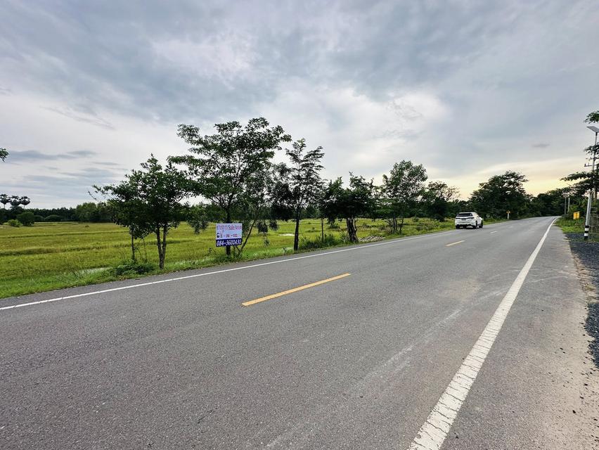 ขายที่ดิน ปราจีนบุรี ประจันตคาม  ราคาถูก  5