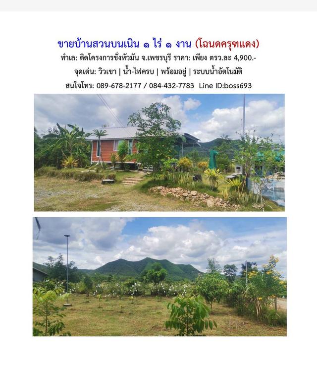 ขายด่วน! บ้านสวนบนเนิน วิวเขาพาโนรามา ติดโครงการชั่งหัวมัน (โฉนดครุฑแดง) 3