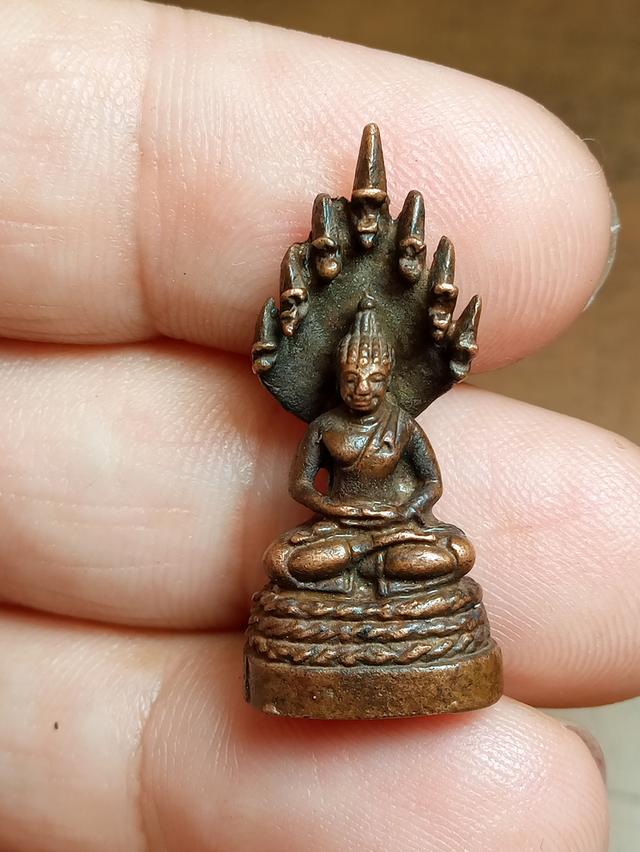 พระเครื่องหล่อนาคปรกหลวงปู่โต๊ะวัดประดู่ฉิมพลี