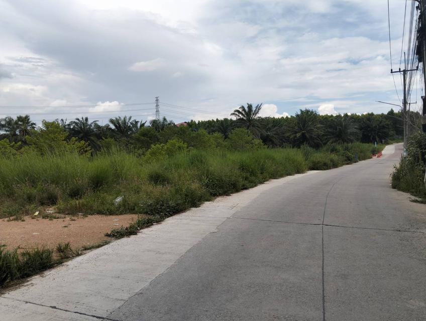 ที่ดิน 12 ไร่ ปลวกแดง ใกล้สี่แยกมาบเตย ผังสีม่วงลาย 4