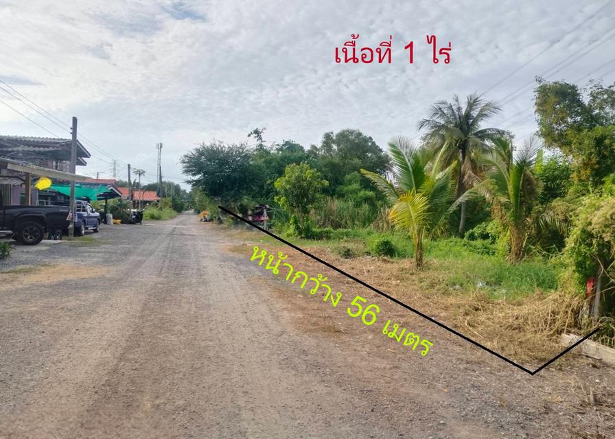 ขายถูกมาก ที่ดินเปล่า 1 ไร่ ขายวาละ 3,500 บาท 1