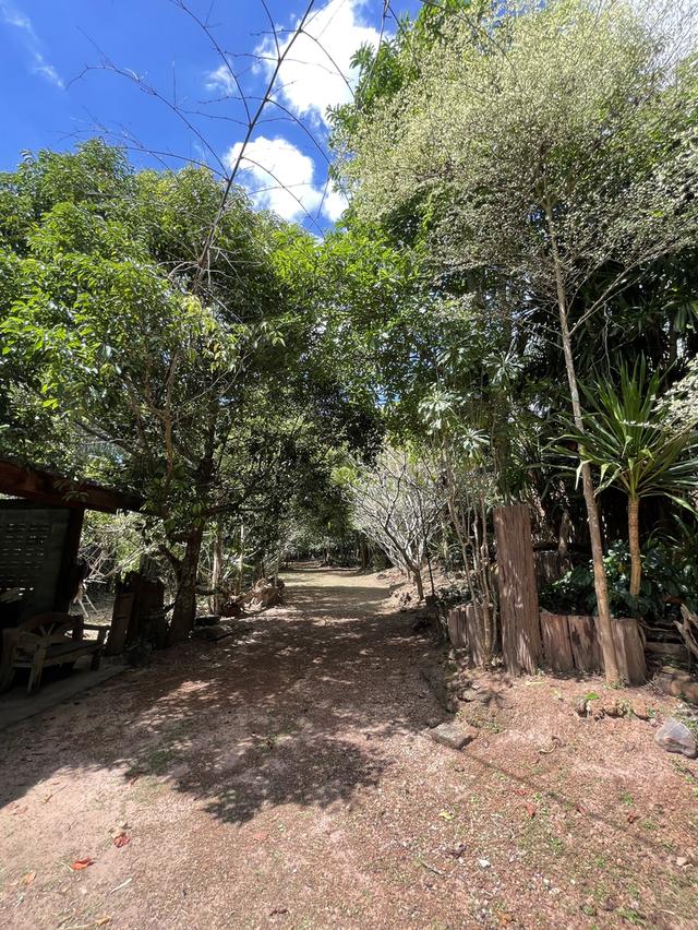 บ้านสวนปราจีนบุรี 8