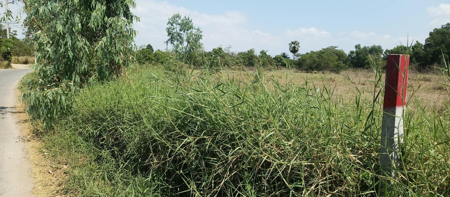 ขายที่ดินเปล่าแปลงใหญ่ 2 แปลงติดกัน ตำบลดงละคร อำเภอเมืองนครนายก จังหวัดนครนายก 7