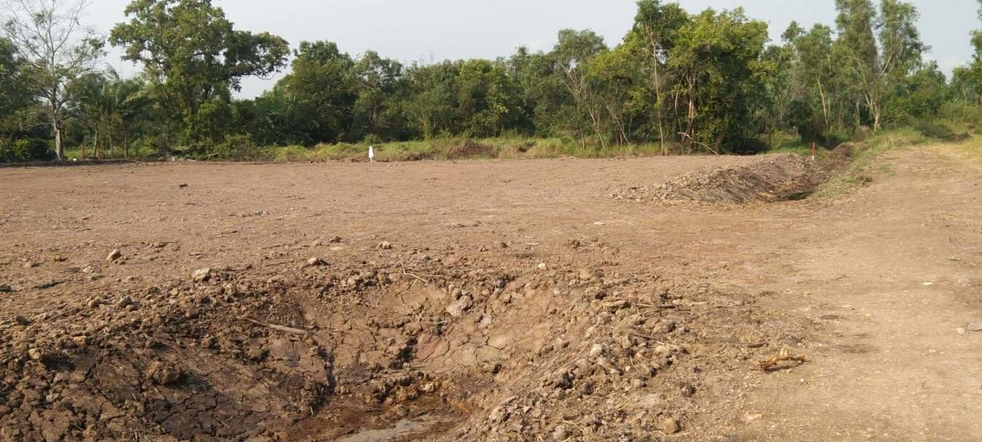 ขายที่ดินเปล่าขนาด4ไร่ 1 งา ราคา5,200,000 แถวรังสิต 2