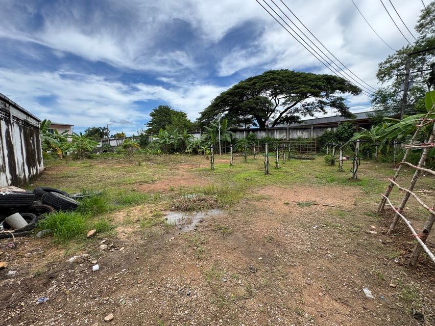 ขายด่วน ที่ดินชุมพร ในตัวเมือง 308.1 ตรว ขายเกือบเท่าราคาประเมิน 4