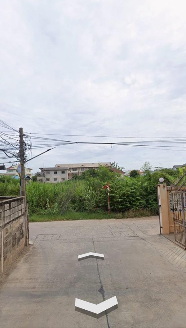 ขายที่ดินสวย พร้อมโอน เมืองสมุทรสาคร เนื้อที่ 173 ตรว. น้ำไฟผ่าน ถนนคอนกรีต โทร 0807856572 3