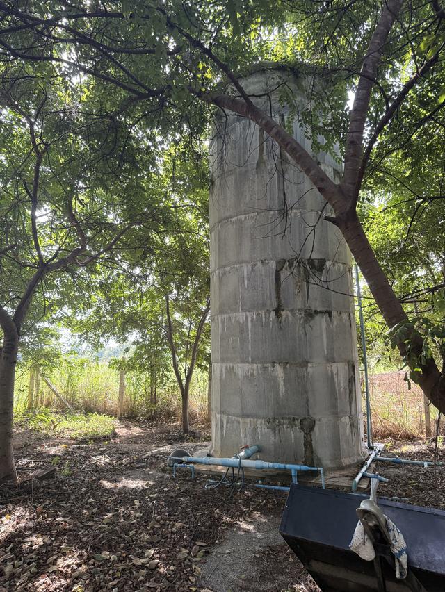 ที่ดิน 9ไร่ 1งาน 38ตารางวา สวนผลไม้ พร้อมบ้าน และสิ่งปลูกสร้าง 6