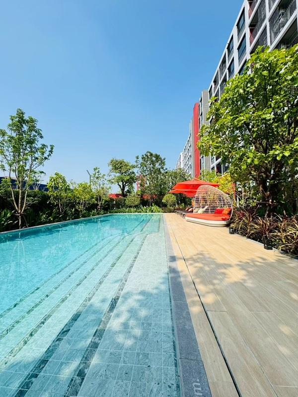 ขายคอนโด ใหม่ dcondo Vivid Rangsit ตรงข้าม ม.กรุงเทพ ข้ามสะพานลอยก็ถึงมหาลัย พร้อมอยู่ โทร 0616161426 1