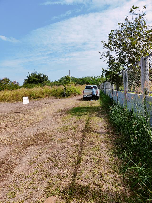 ที่ดินจังหวัดขอนแก่น อำเภอเมือง 3
