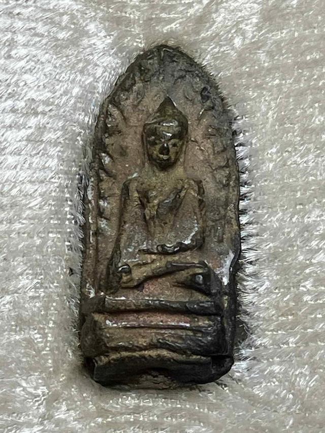 ขายพระเครื่อง ขายอาหารปลา