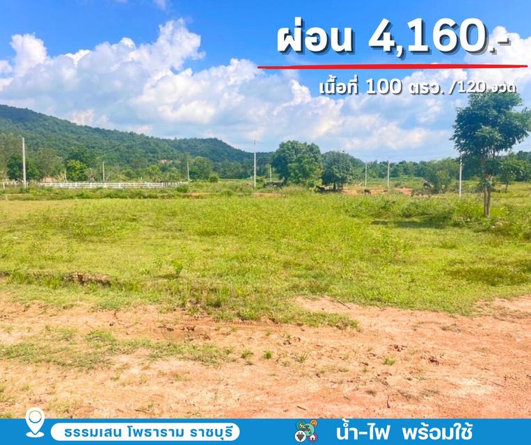 ที่ดิน โพธาราม ราชบุรี 4