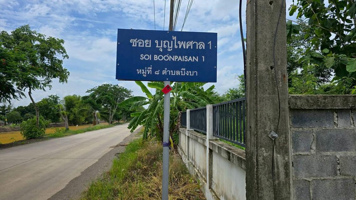 ขายด่วนที่ดิน 300 ตารางวา ติดถนนสาธารณะ 2 ด้าน ชอย บุญไพศาล1 คลอง 9 หนองเสือ ปทุมธานี 2