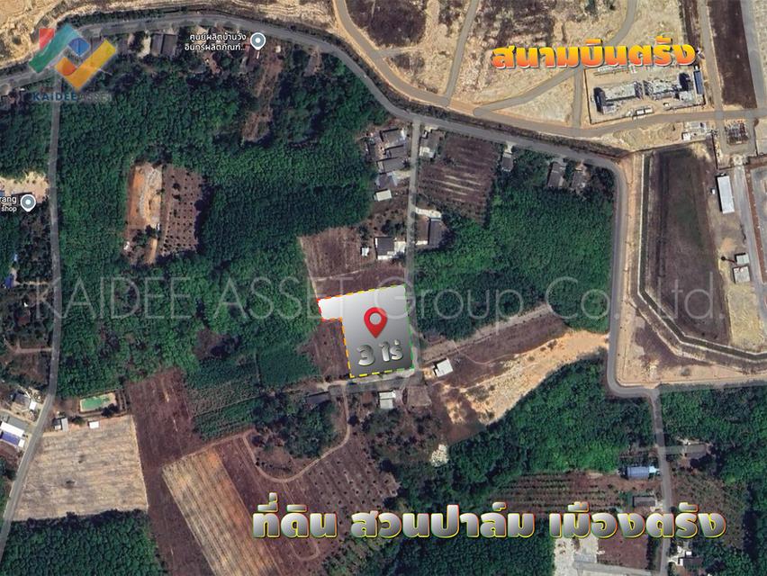 ที่ดิน โคกหล่อ เมืองตรัง ตรัง สวนปาล์ม ใกล้สนามบิน ราคาถูก 5