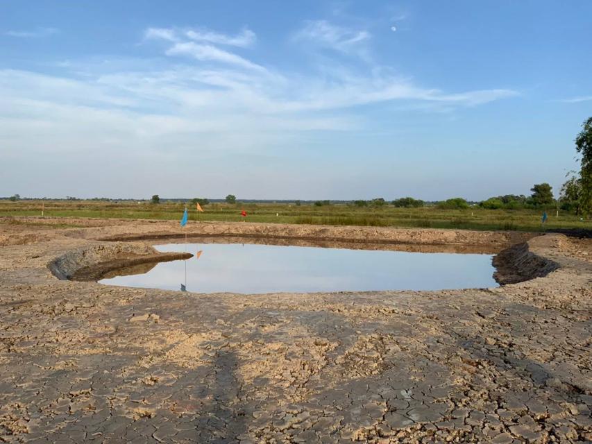 ขายที่ดิน คลอง 22 องครักษ์ นครนายก ดาวน์ 50,000 6