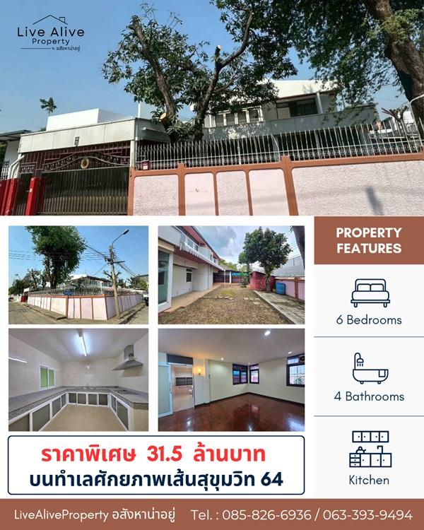 สินทรัพย์ศักยภาพสูง ทำเลทองสุขุมวิท ขายด่วน ! บ้านพร้อมที่ดินแปลงสวย ทำเลทองสุขุมวิท 64 แปลงหัวมุม สังคมบ้านหลังใหญ่ เข้า-ออกสะดวก 1