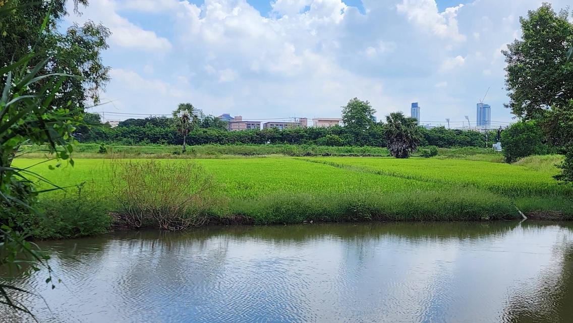 ที่ดิน บางพูน ปทุมธาณี 7