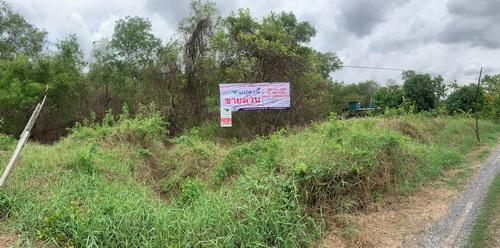 ที่ดินเปล่า 100 ตร.ว. พหลโยธิน87 ซอย6 ต.ประชาธิปัตย์ อ.ธัญบุรี จ.ปทุมธานี 12