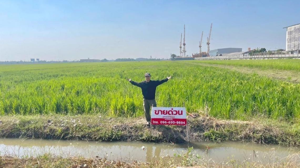 ขายที่ดินลำลูกกาคลอง6 1