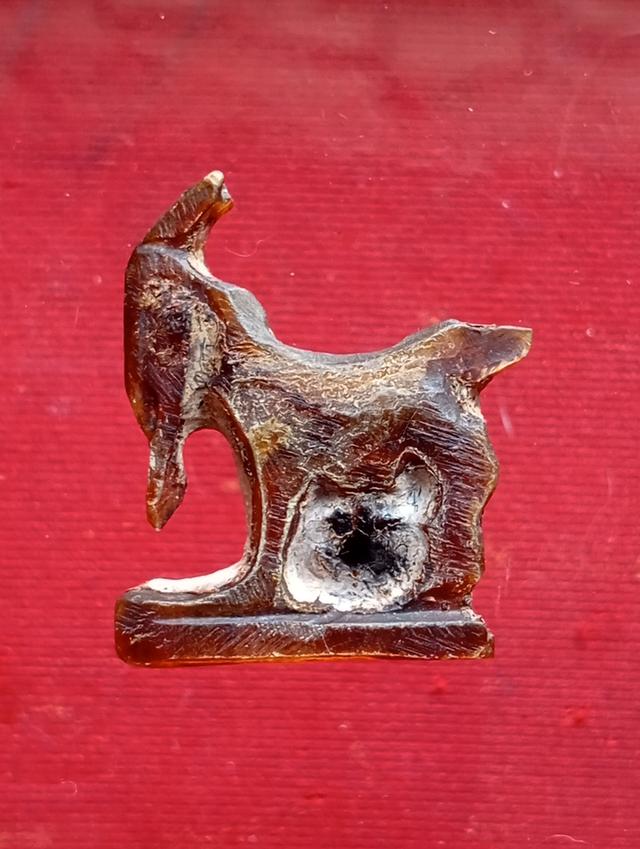 แพะ หลวงพ่ออ่ำ วัดหนองกระบอก