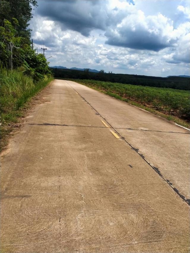 ขายด่วน !! ที่ดิน 263-3-26 ไร่ ระยอง ป่ายุบใน เหมาะสร้างหมู่บ้าน ทำสวน โรงงาน ปศุสัตว์ 1