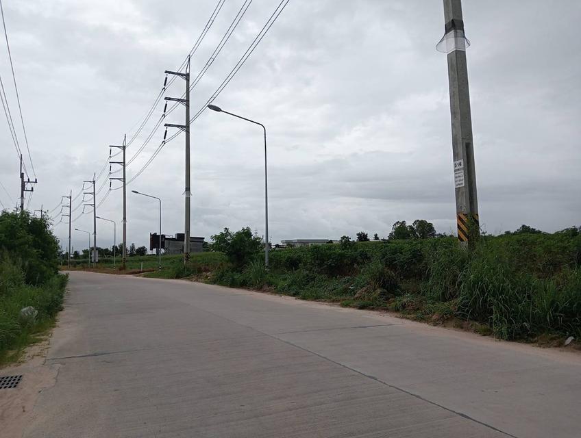 ขายที่ดินระยอง ปลวกแดง 5 ไร่ (พื้นที่สีม่วงลาย) ติดนิคมอุตสาหกรรม อมตะซิตี้ระยอง โซนจีน 5