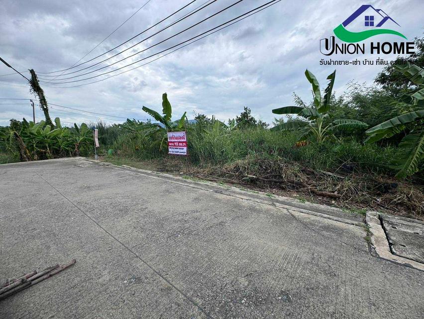 ขายที่ดินเปล่าถมแล้ว ถนนรังสิต-นครนายก 33 คลอง 2 ธัญบุรี (N.1879) 3