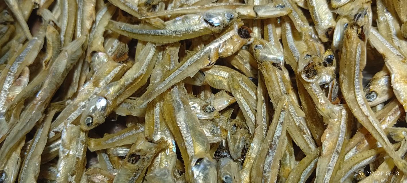 Dried Anchovy, Boiled Dried Fish, High Calcium