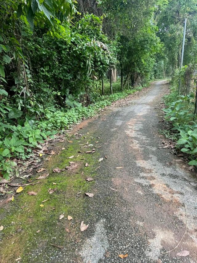 โอกาสพิเศษ ที่ดินริมน้ำนครนายก เกือบ 2 ไร่ ปรับราคาลงเหลือ 4.5 ล้านบาท 17