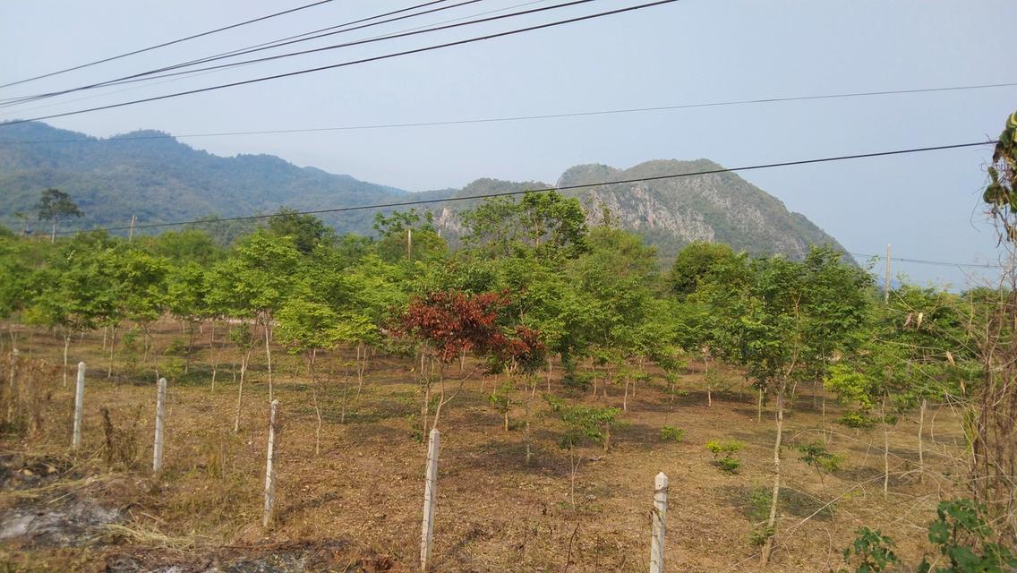 ที่ดินทำเลทองเขาใหญ่ 7