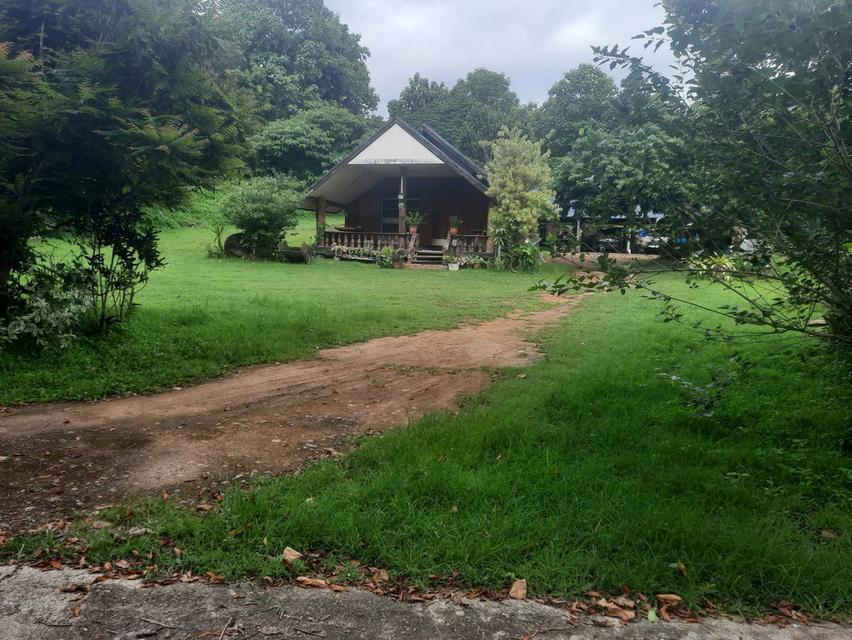 บ้านพร้อมที่ดิน อ.ปาย จ.แม่ฮ่องสอน 6