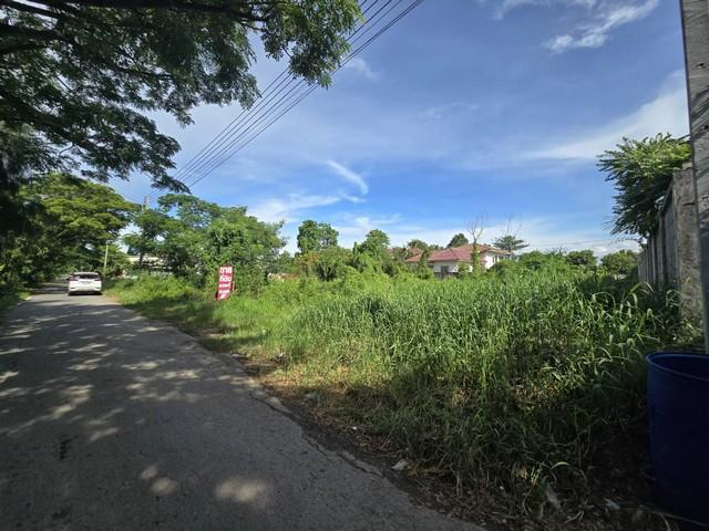 ขาย ที่ดินเปล่า 208.4 ตร.ว ทำเลดี คลองสาม ต.คลองหลวง ปทุมธานี แปลงสวย ใกล้วัดธรรมกาย